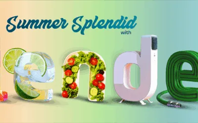 Summer Splendid with Blended