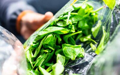 N2 gas cylinder supply for industrial and commercial use