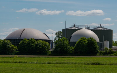 The role of Biogas in a Net Zero UK