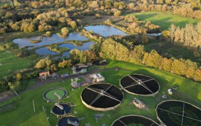 The role of Aqueous Ammonia in UK Wastewater Treatment