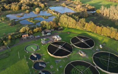 The role of Aquamonia in UK Wastewater Treatment