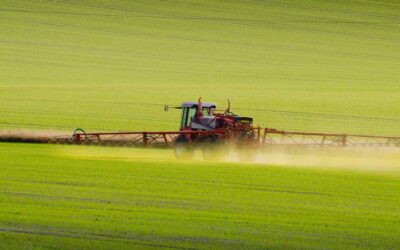 Powering a low-carbon future