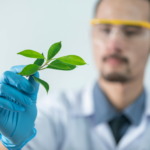 Scientist in lab holding a small piece of plant.