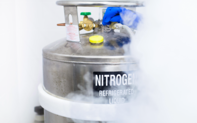 Liquid nitrogen price: what determines the cost for UK businesses?